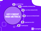 Credit Risk Notes Practice Questions Cfa Examples