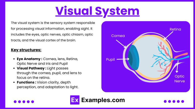 Visual Auditory Notes Practice Questions Nclex Rn Examples - Best Ocean Images in High Resolution