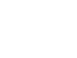 Flydevs Digital Agency