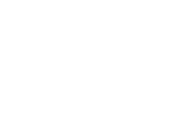 Flydevs Digital Agency