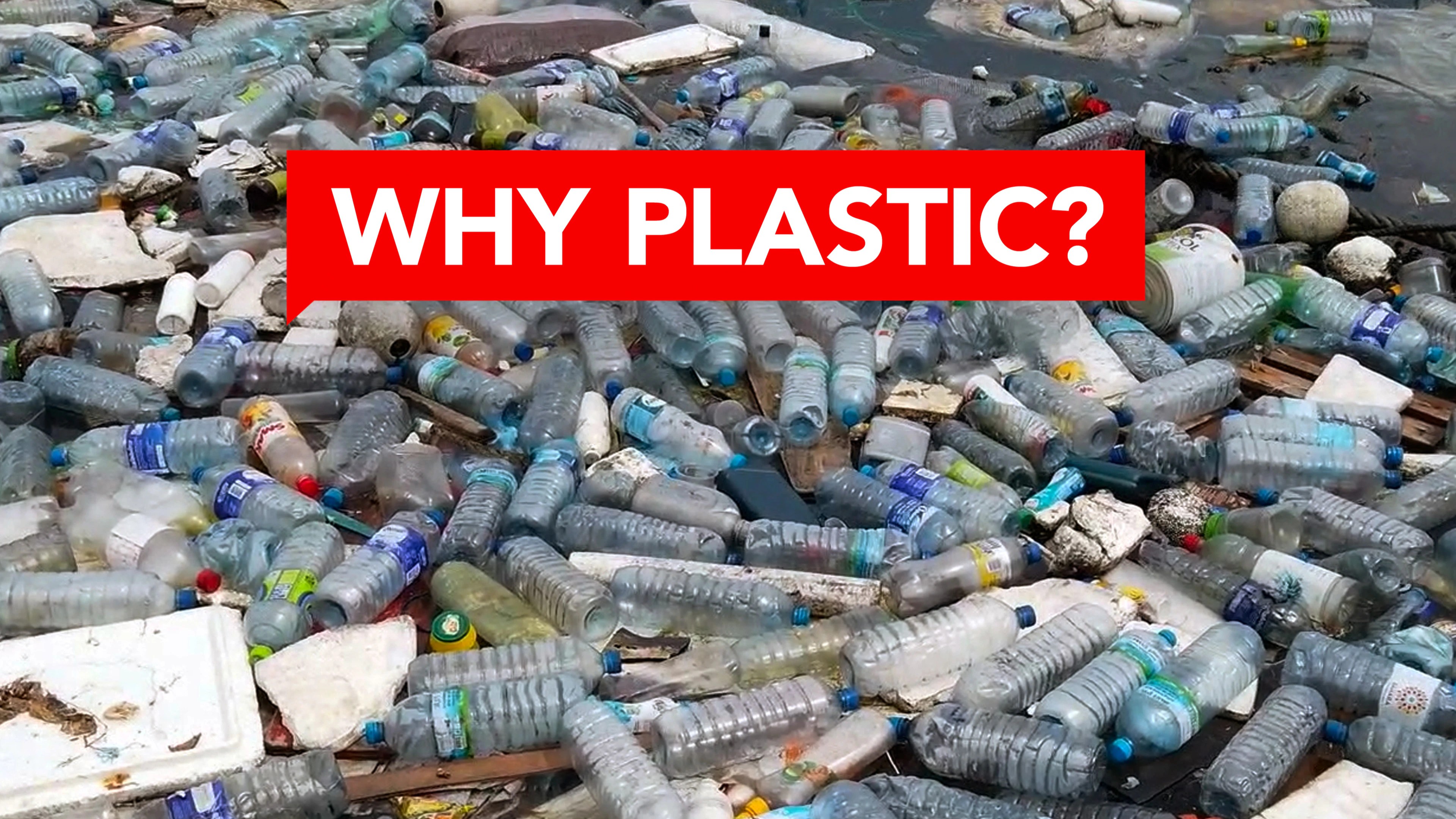 Coextinction Labocine - Sunset Wallpapers - Elegant Full HD Collection