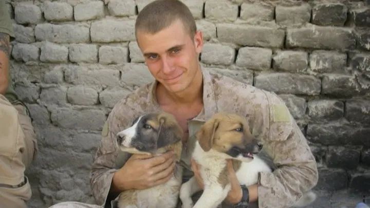 Cbre Cares - 8K Landscape Illustrations for Desktop