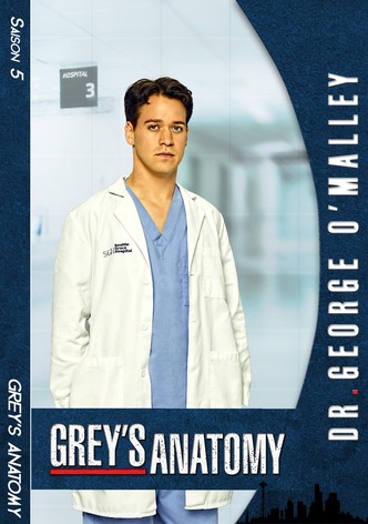 Saison 16 Grey's Anatomy Streaming: Où Regarder Les épisodes?