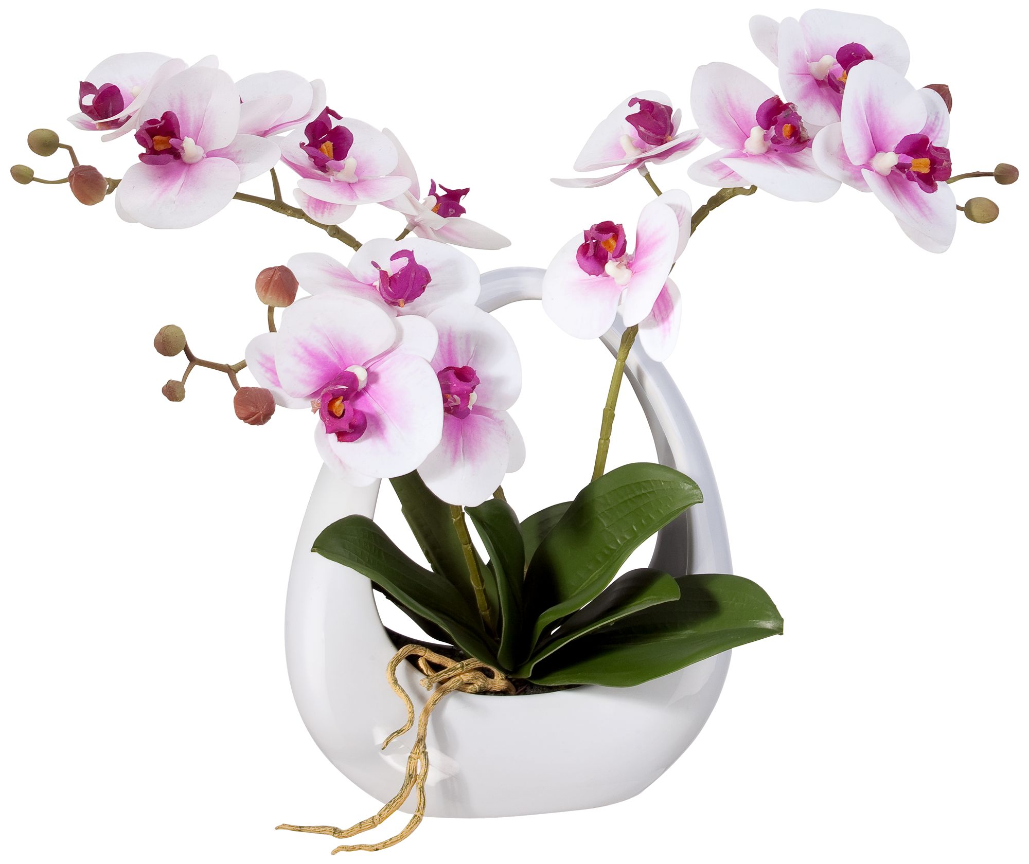 Pink, orchid, nature, flower, white. Pink White Phalaenopsis Orchids 13 Faux Floral In White Pot 8g266 Lamps Plus