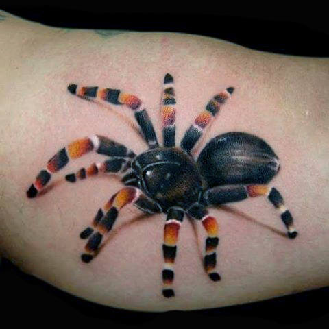 92 Tatuaggi Con I Ragni (Con Significato) 480_x_480_jpg