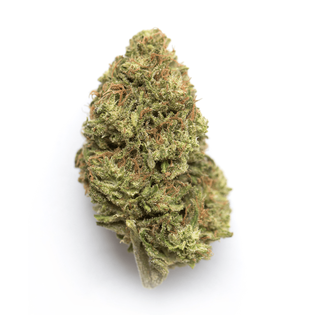 Mango Cookies strain