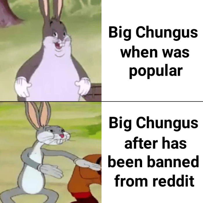 Big chungus. : r/inscryption Best team of pokemon