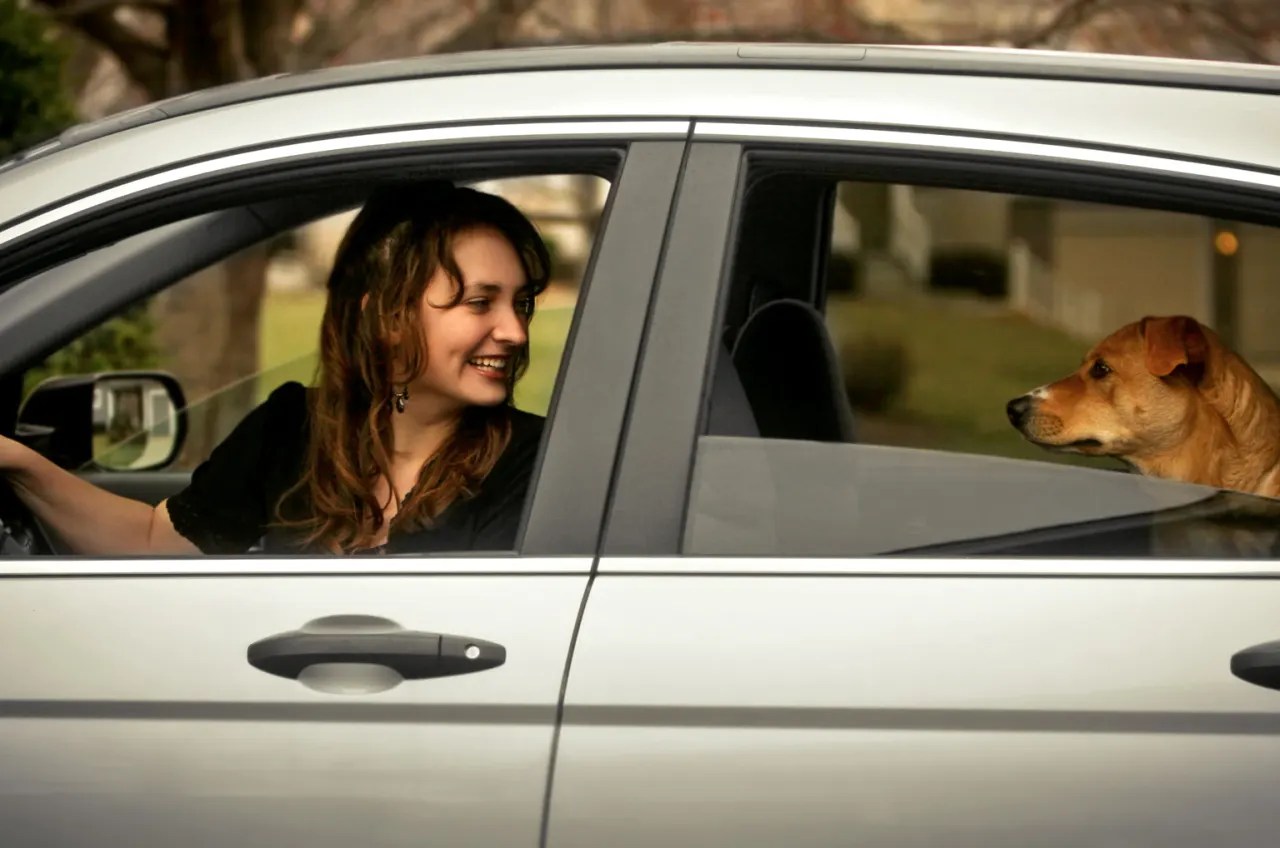 should you buy your leased car yes heres why - marketwatch on how to lease a car with bad credit reddit