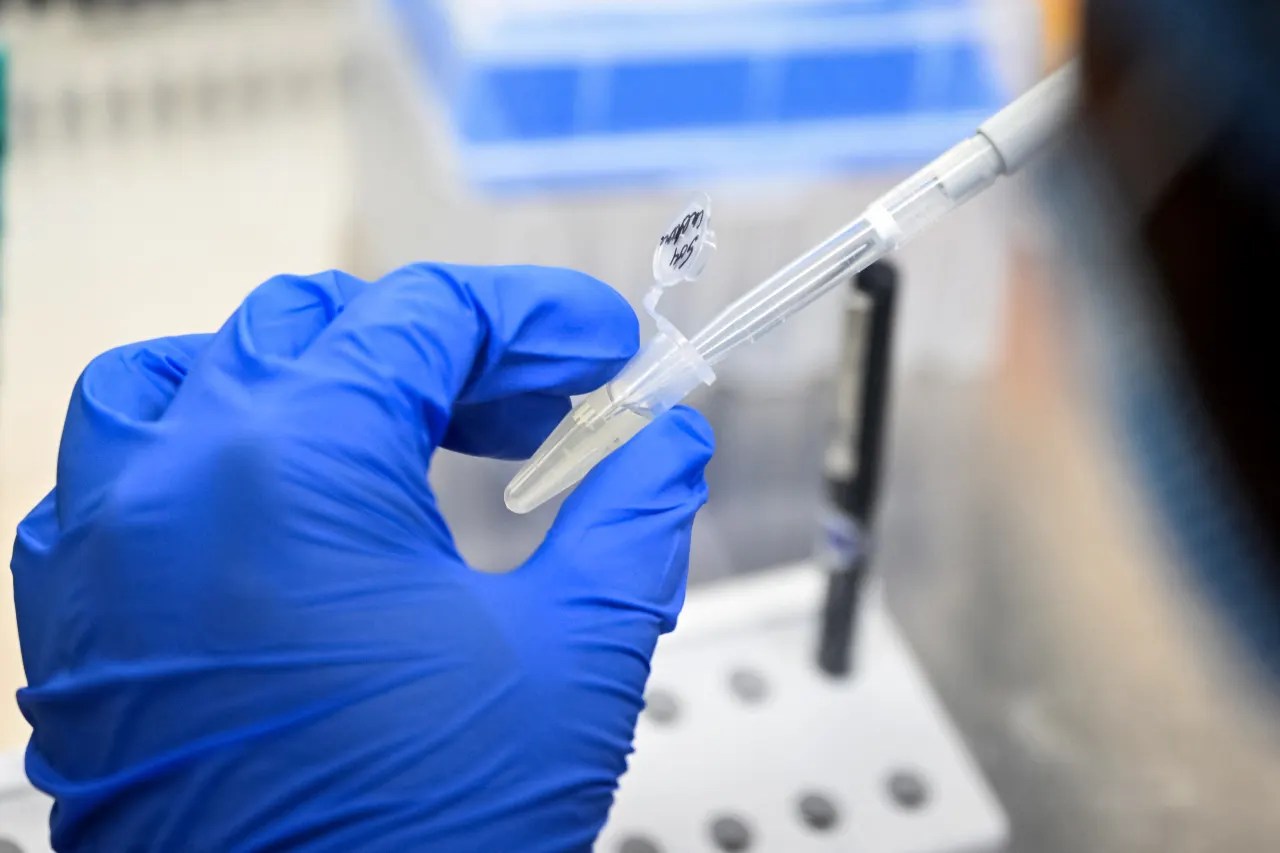 Pfizer et son partenaire français vont demander l&rsquo;approbation du vaccin contre la maladie de Lyme après un essai avancé
