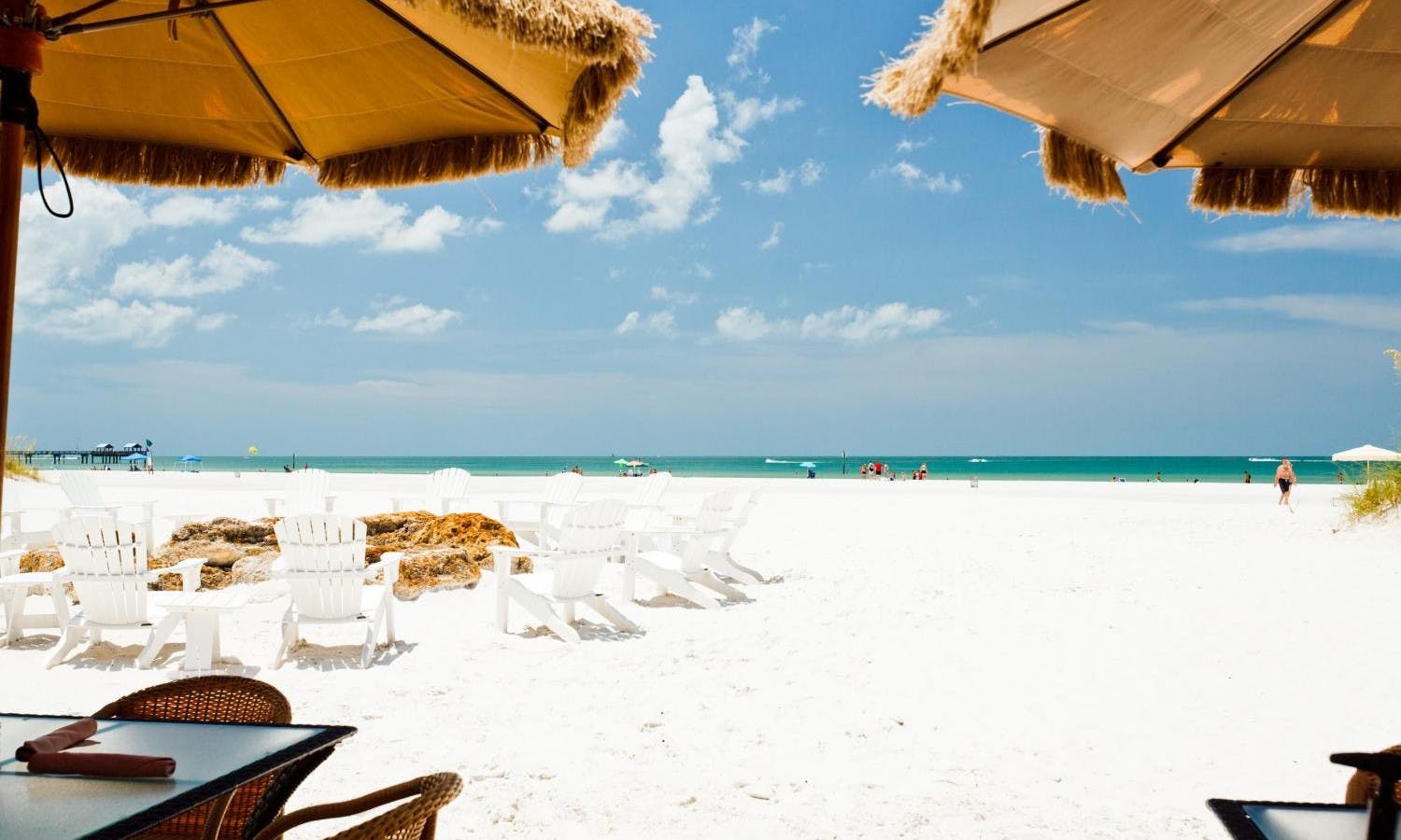 Clearwater Beach Dolphin Encounter Boat Cruise With Lunch Musement