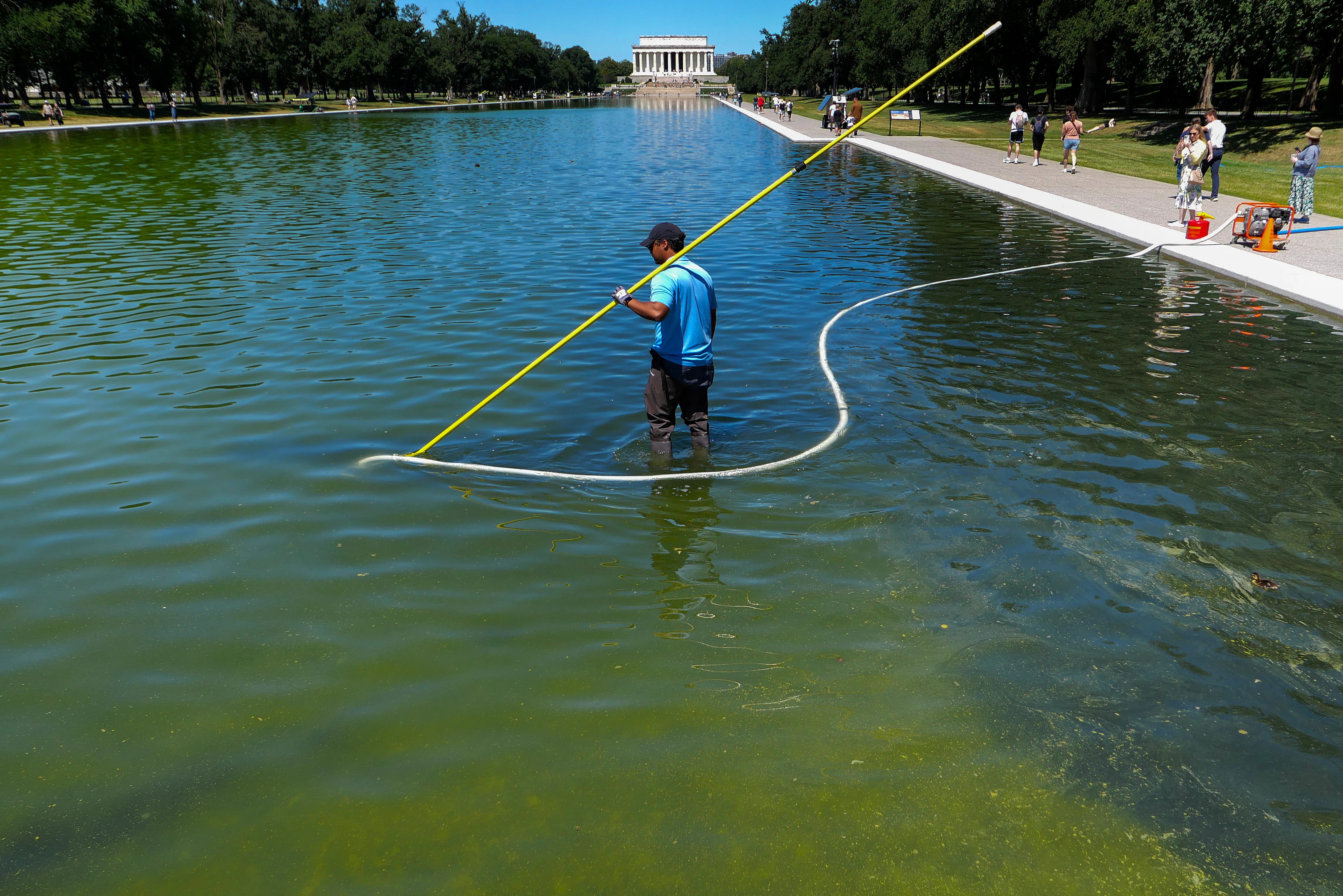 Utterly Absurd Contractor Behind Reflecting Pool Renovation Disaster
