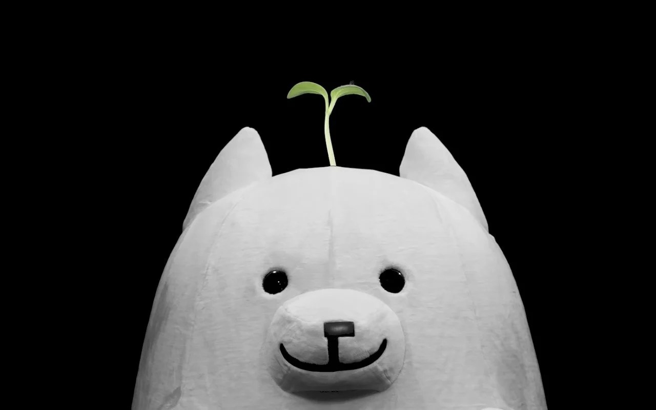 Deltarune Chapter 6 Release Date & Development Update (2026)