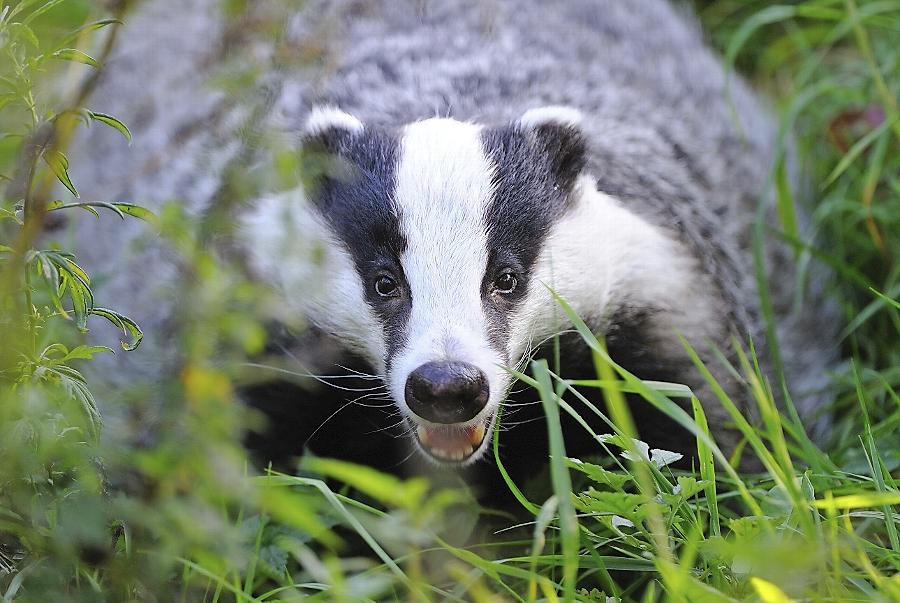 Hueber Turkisch Sprache Lernen Shop