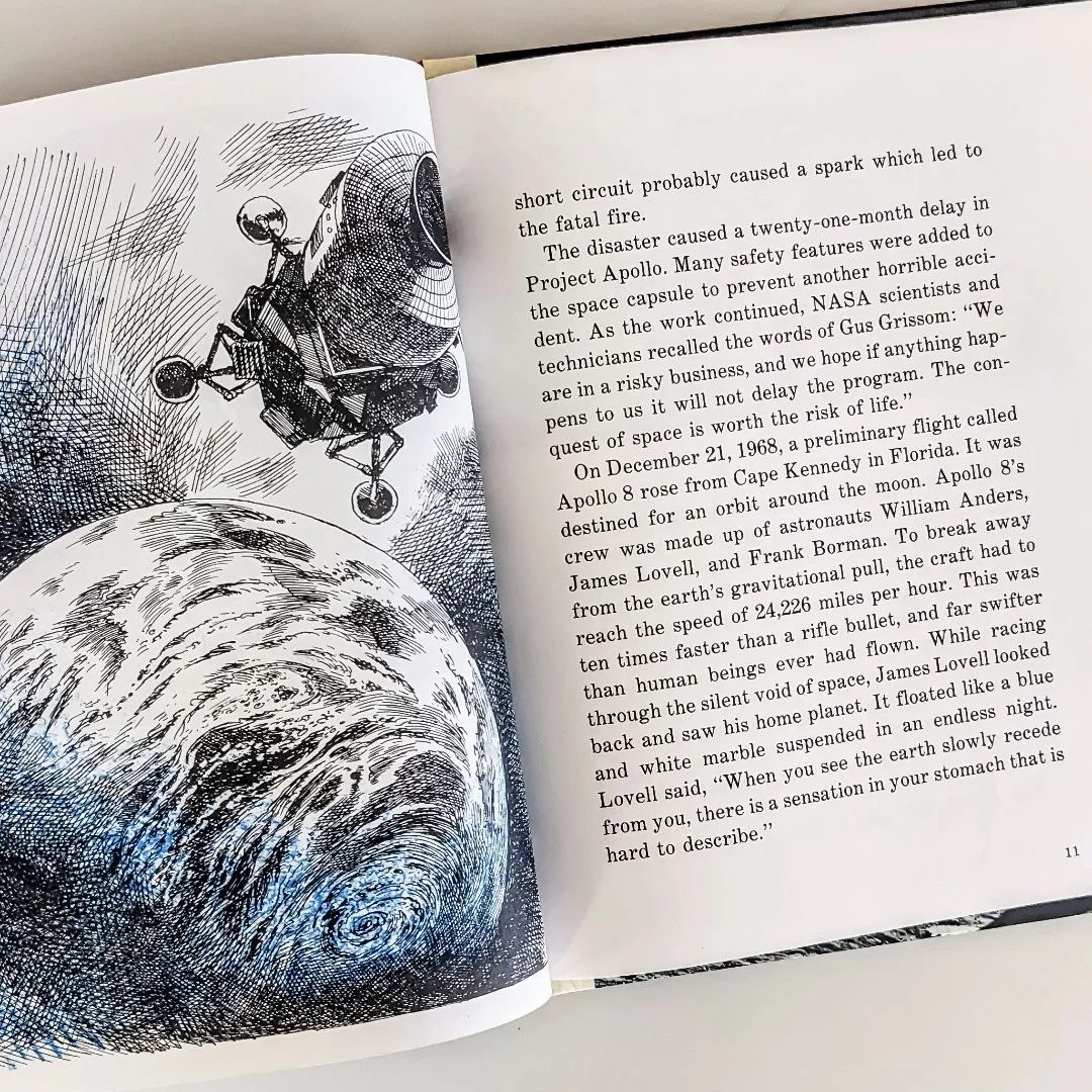 Added A 2nd Story For Apollo R Ballpython - Dark Images - Creative Full HD Collection