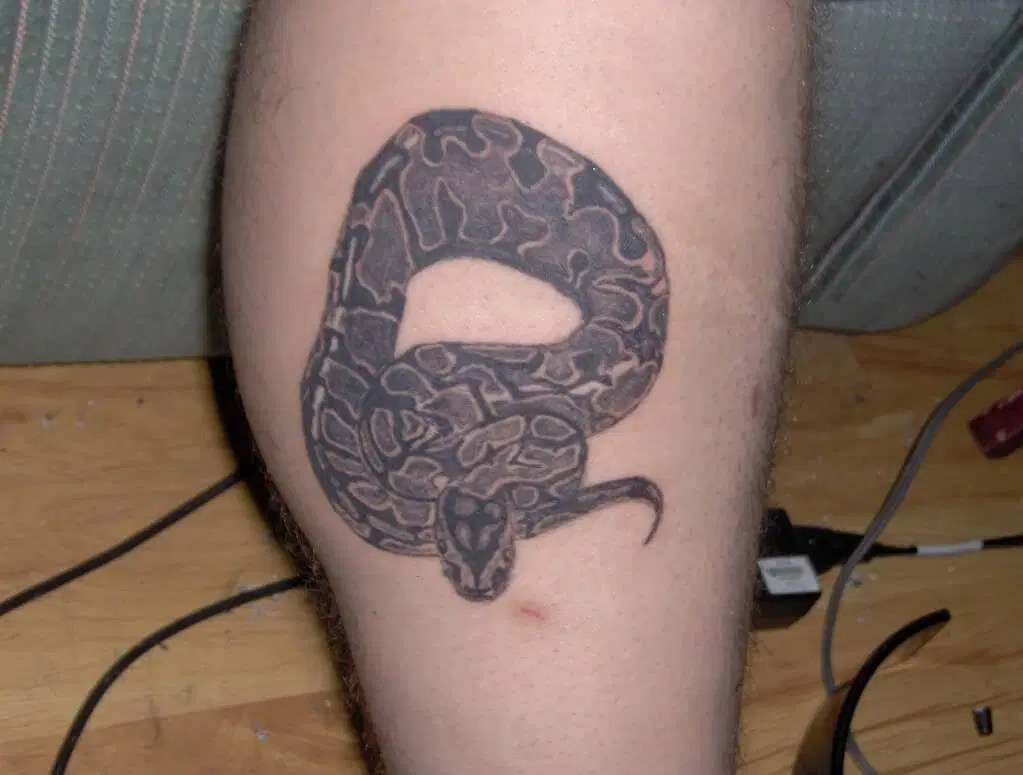 16 Best Python Tattoo Design Ideas Petpress - Mountain Wallpapers - Incredible Full HD Collection
