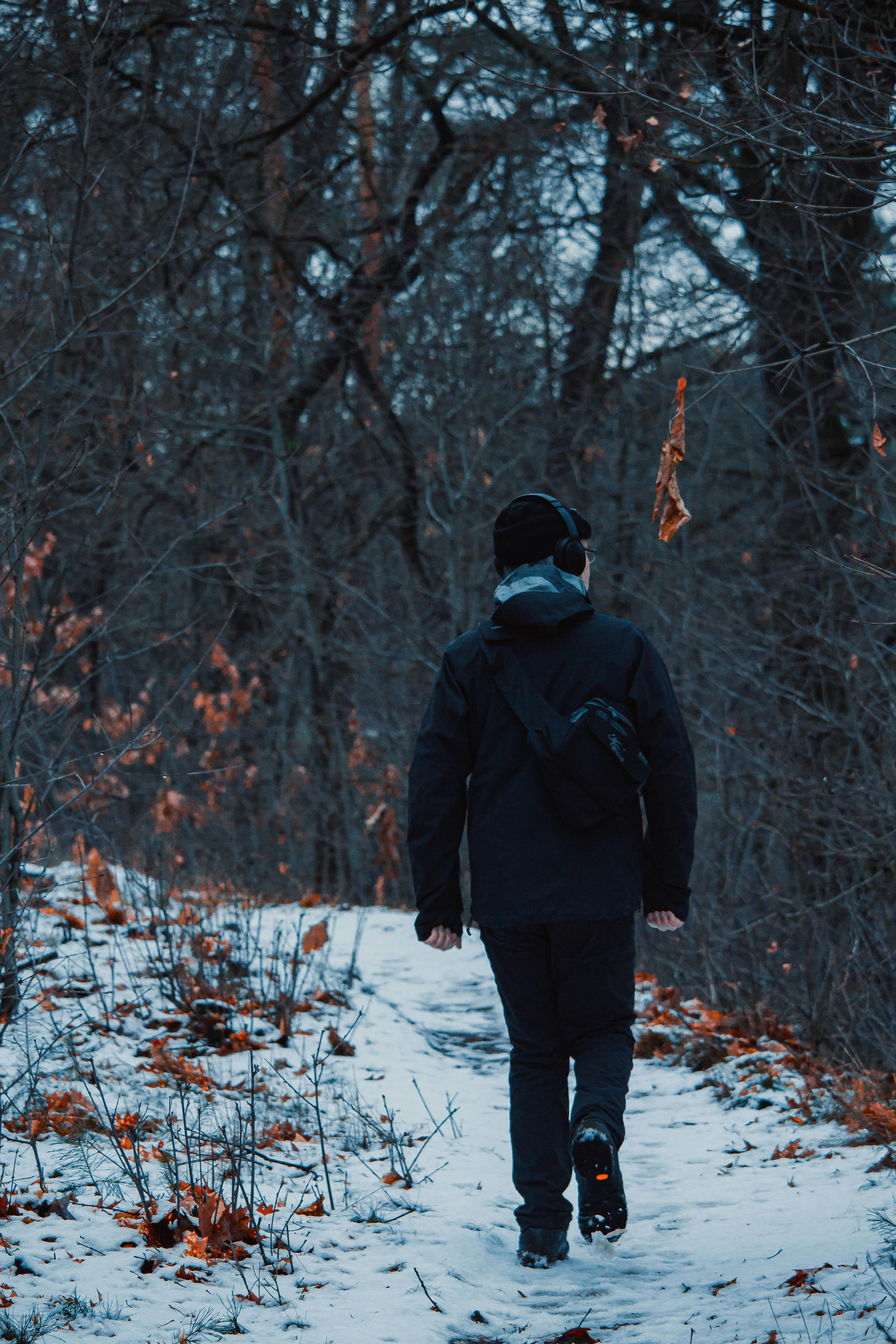 Snow Man - Premium Nature Picture Gallery - HD