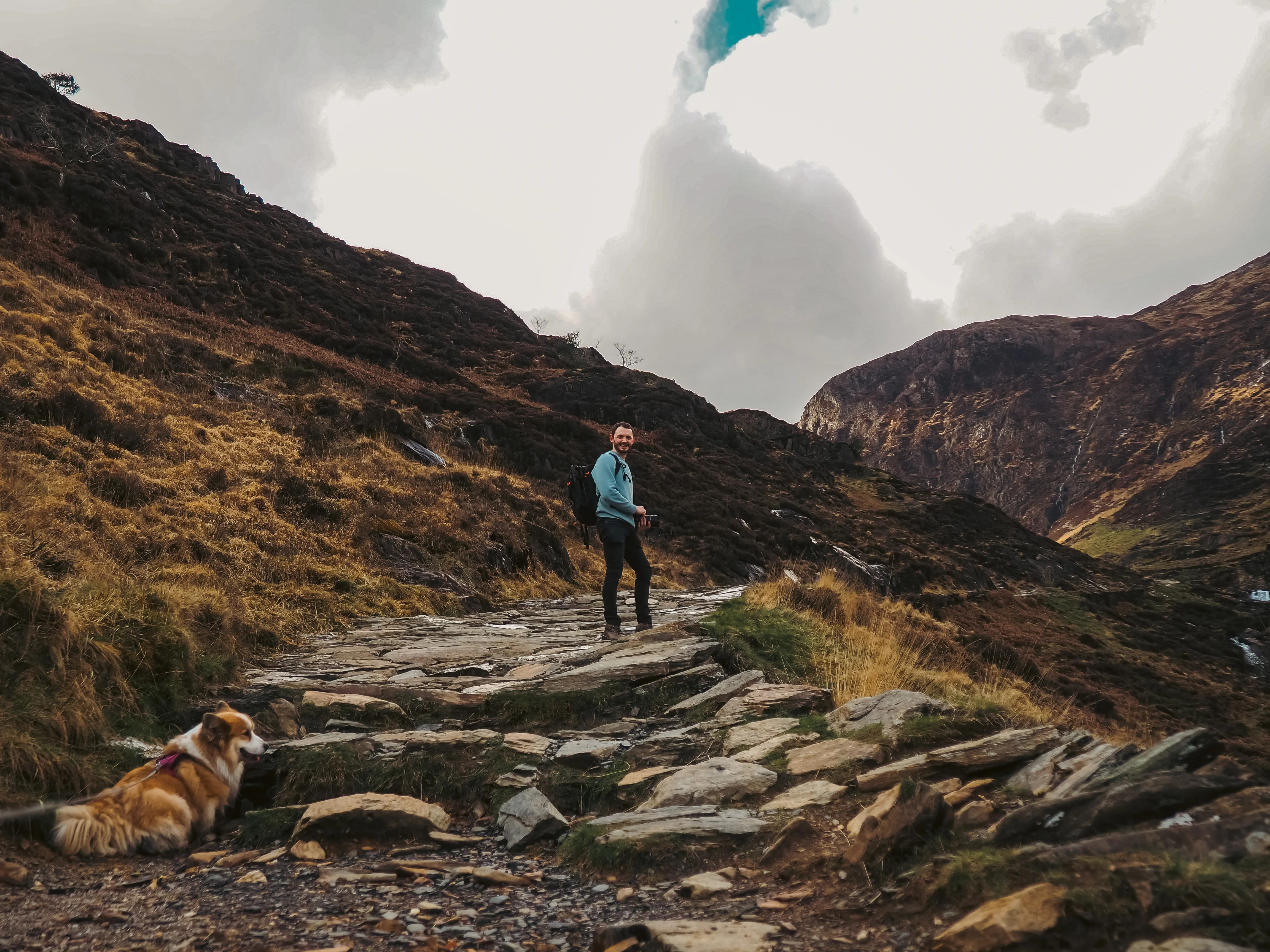 Viaje con mascotas relacionada con «Camping con mascotas: lo que necesitas saber»