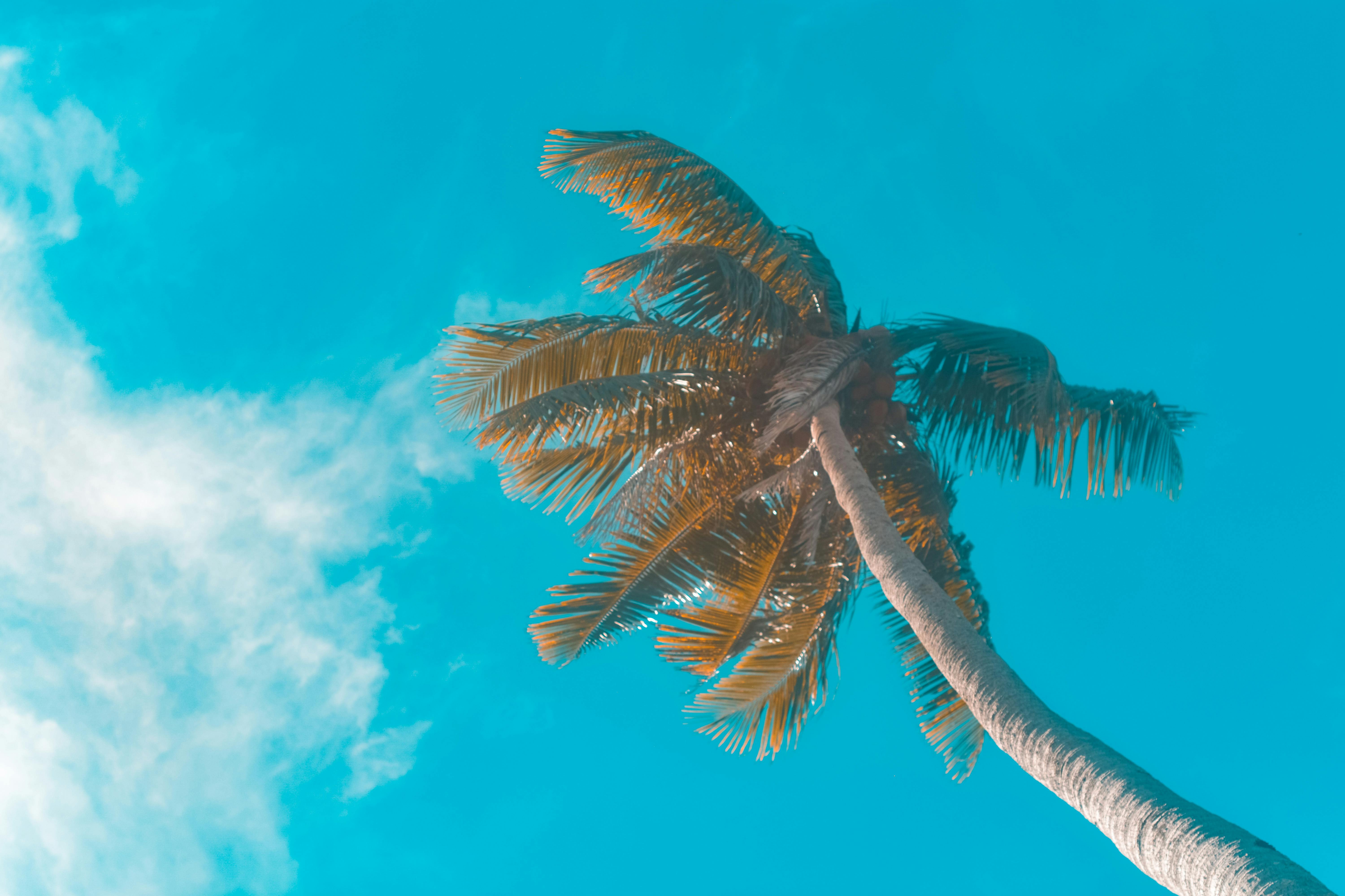 Ging Ang Photography - Nature Photo Collection - Ultra HD Quality