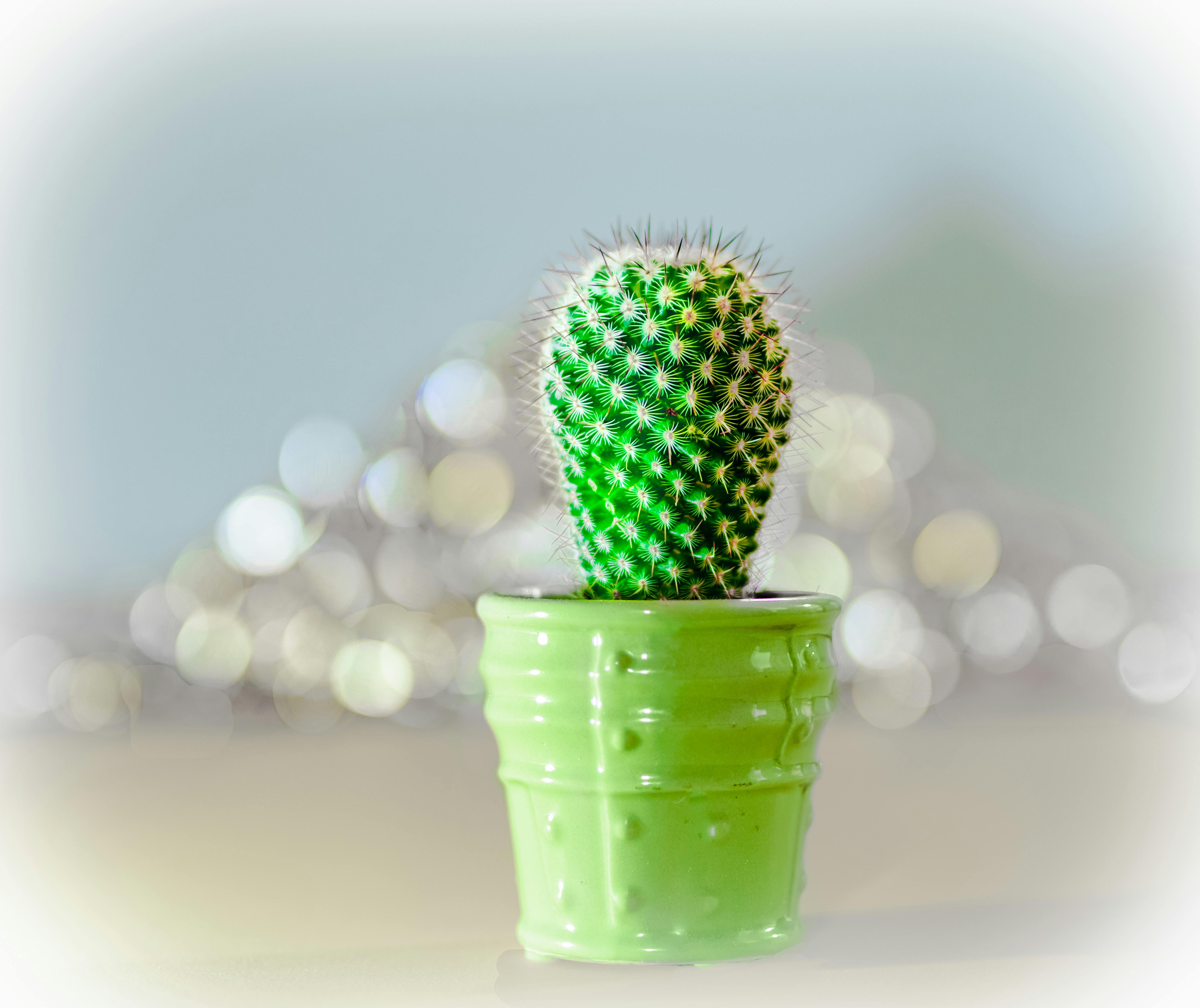 John Finkelstein Photography - Premium Geometric Illustration Gallery - Mobile