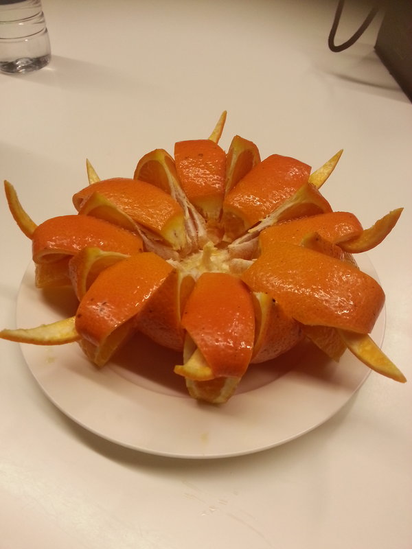 柳橙玉兔盤穎柔 Yihbk