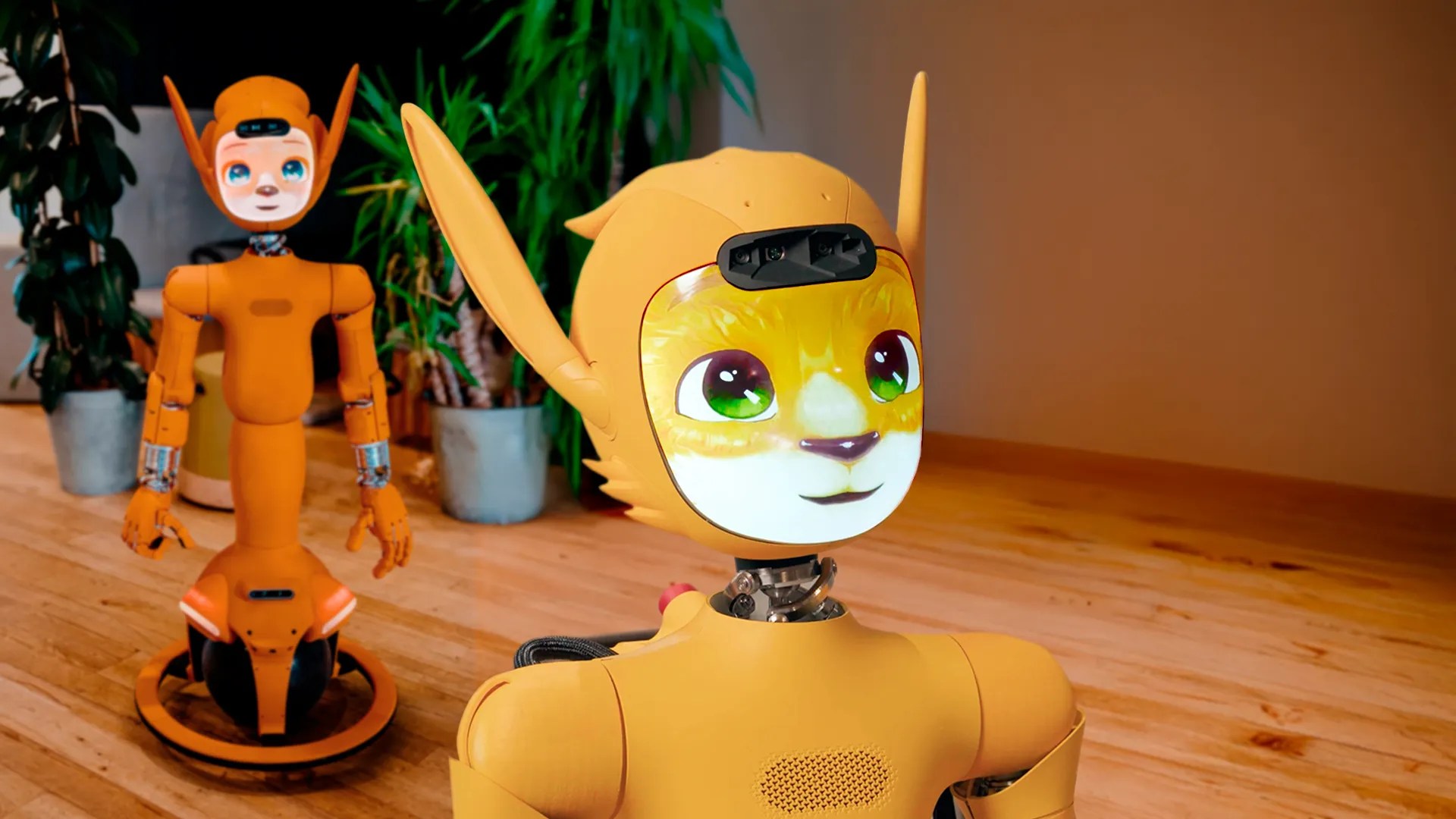 About Enchanted Tools - City Photo Collection - Full HD Quality