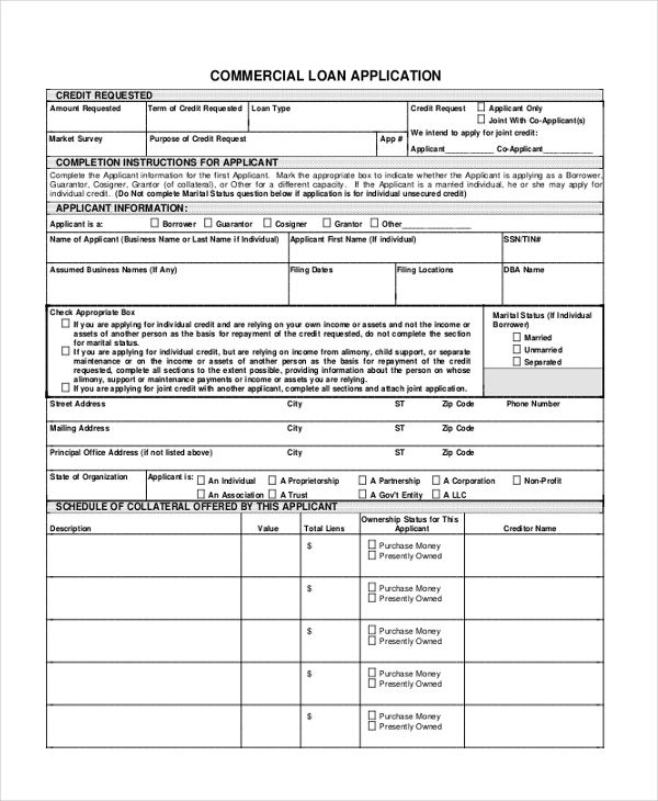 Free 11 Sample Loan Application Forms In Pdf Excel Ms Word