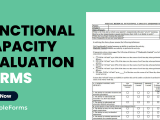 Functional Capacity Evaluation Template Alberguepankotsi