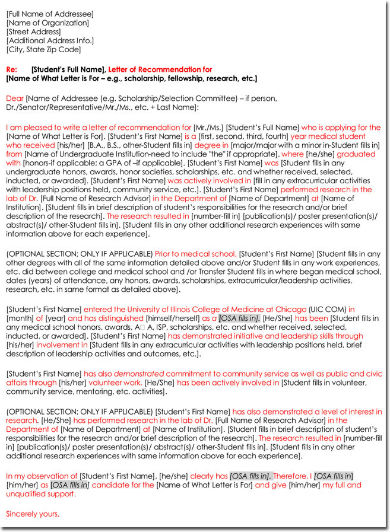 Free 6 Scholarship Letter Of Recommendation In Pdf