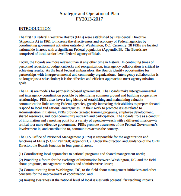 Free 6 Sample Operating Plan Templates In Pdf
