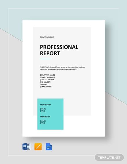 Free 22 Sample Professional Report Templates In Pdf Ms Word