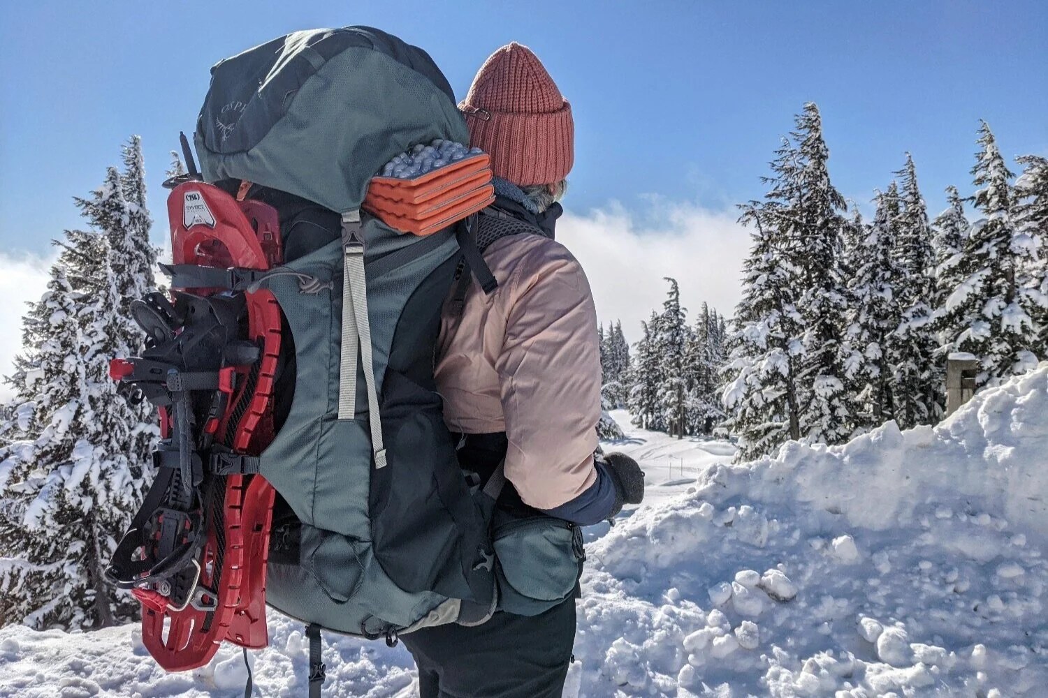 Where to buy nice working backpack?