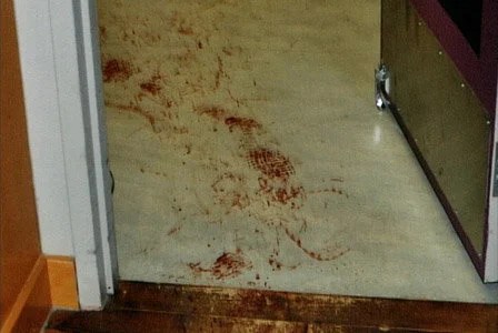 picture Reddit Lululemon Crime Scene Photos Body lululemon murder