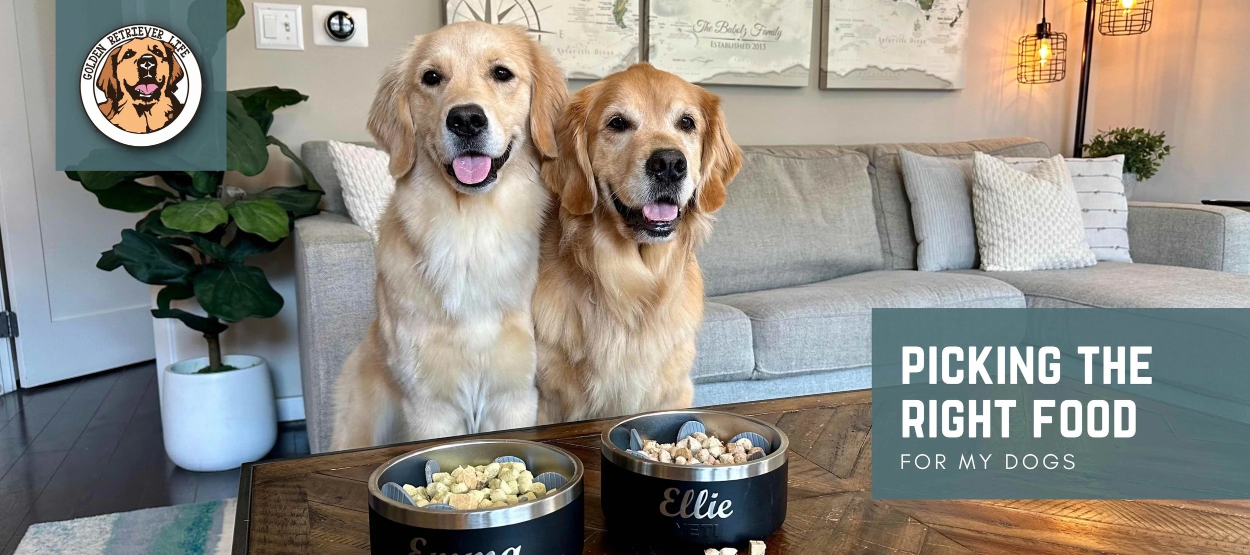 Best Dog Food for Golden Retrievers: Top Picks & Reviews!