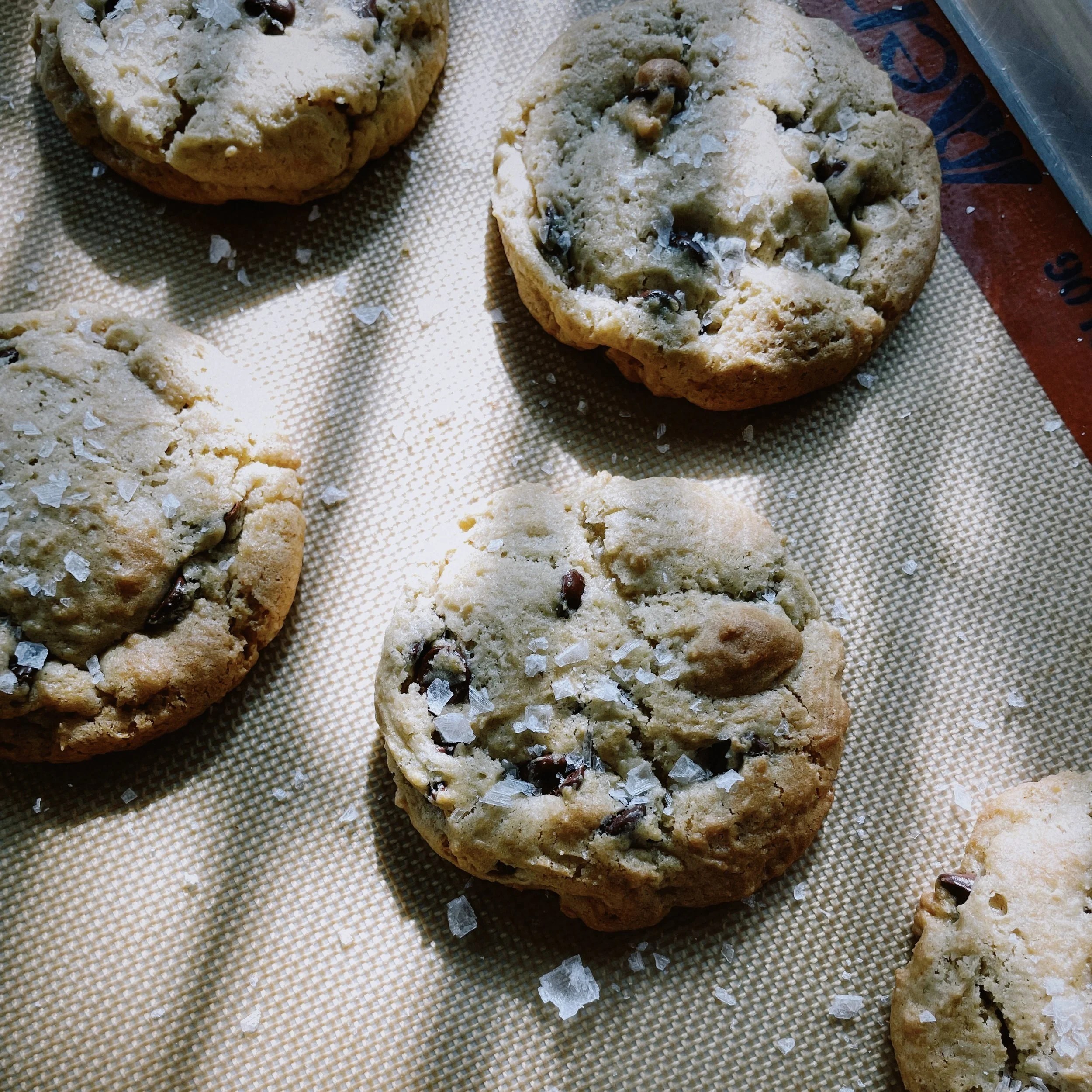 Sourdough Discard Oatmeal Chocolate Chip Cookies
