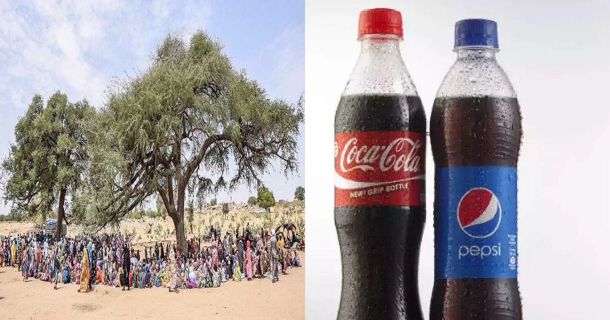 sudan effecting soft drinks