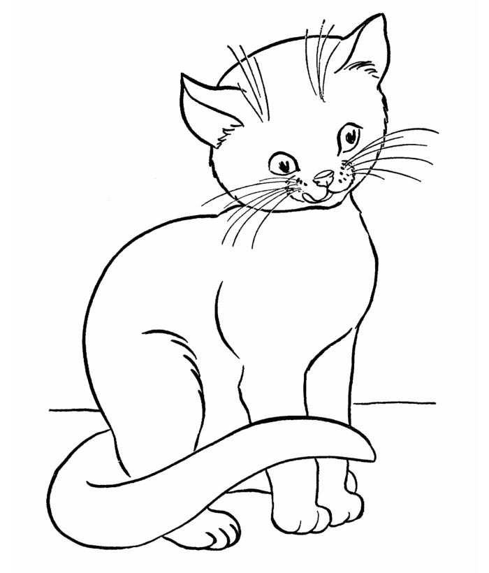 All the coloring pages on coloring castle are free and printable! 70 Animal Colouring Pages Free Download Print Free Premium Templates