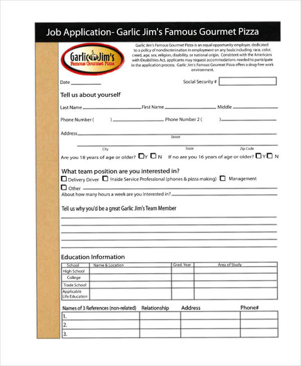 41 application templates in pdf free premium templates