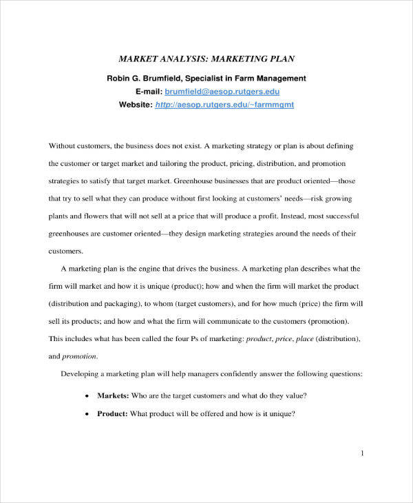 13 Market Analysis Business Plan Templates Pdf Doc Free Premium Templates
