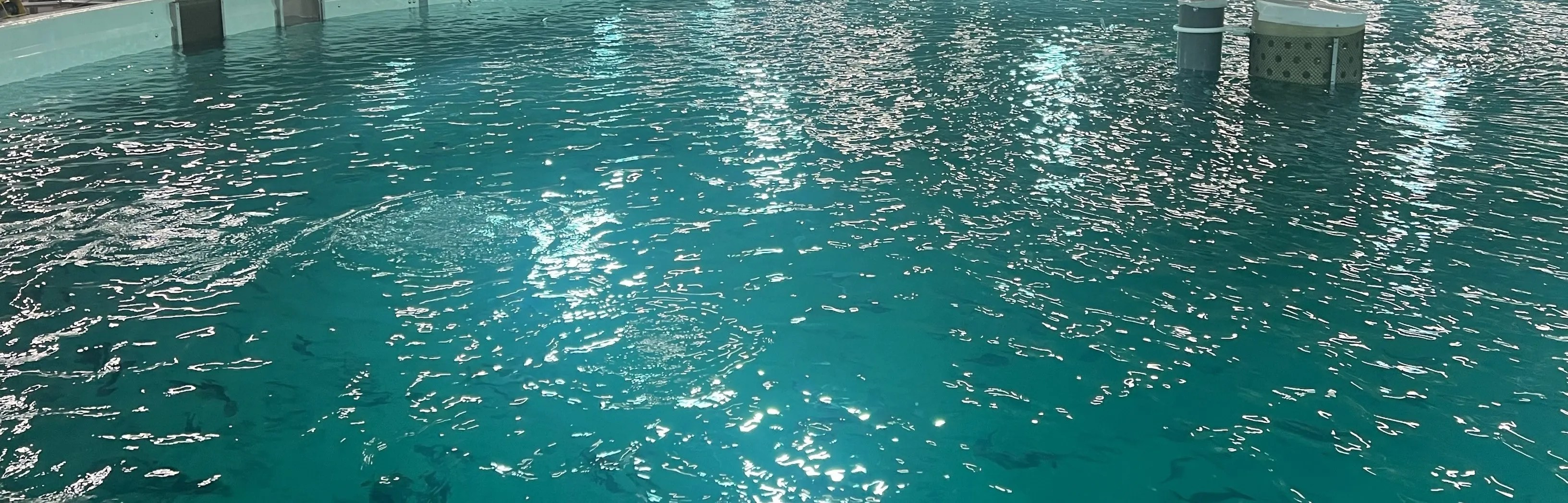 Ras Reports - Premium Desktop Abstract Images | Free Download