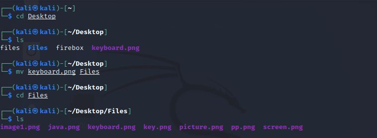 Kali Linux Basic Commands Tpoint Tech - Elegant Dark Image - HD