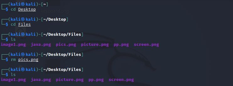 Kali Linux Basic Commands Tpoint Tech - Beautiful Vintage Photo - 4K
