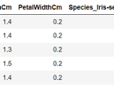 Lightbm Multilabel Classification Tpoint Tech