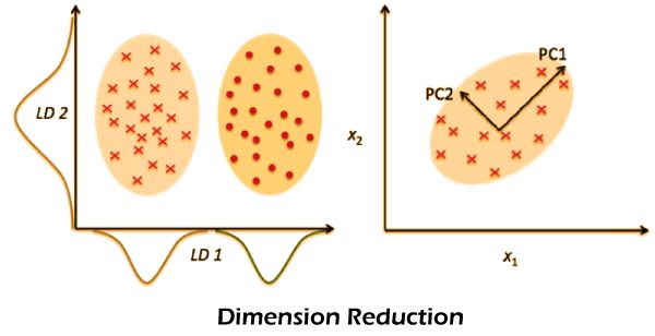 Machine Learning Techniques Tpoint Tech - Premium City Texture Gallery - 4K