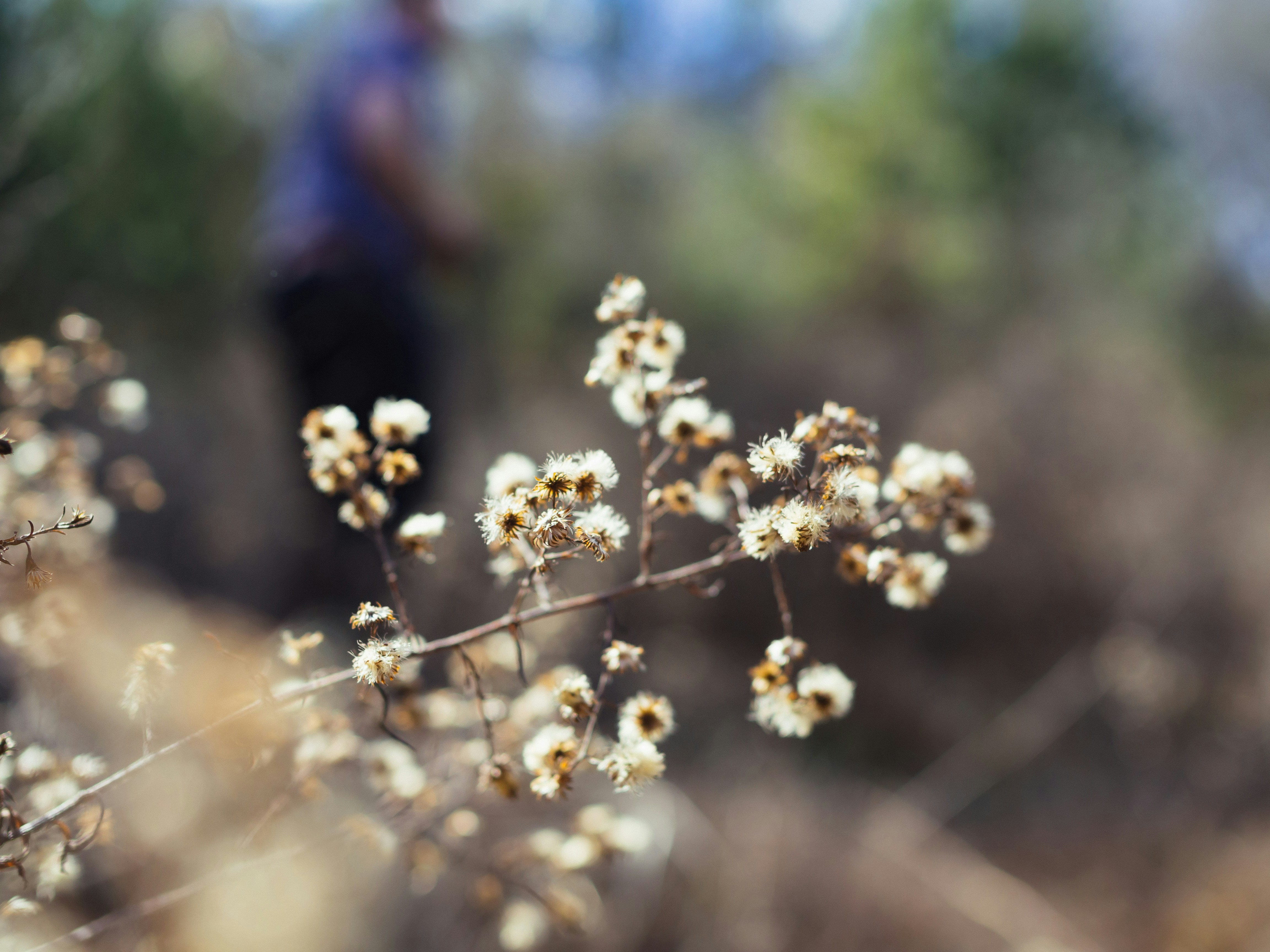 Nick Morrison Nickmorrison Unsplash Photo Community