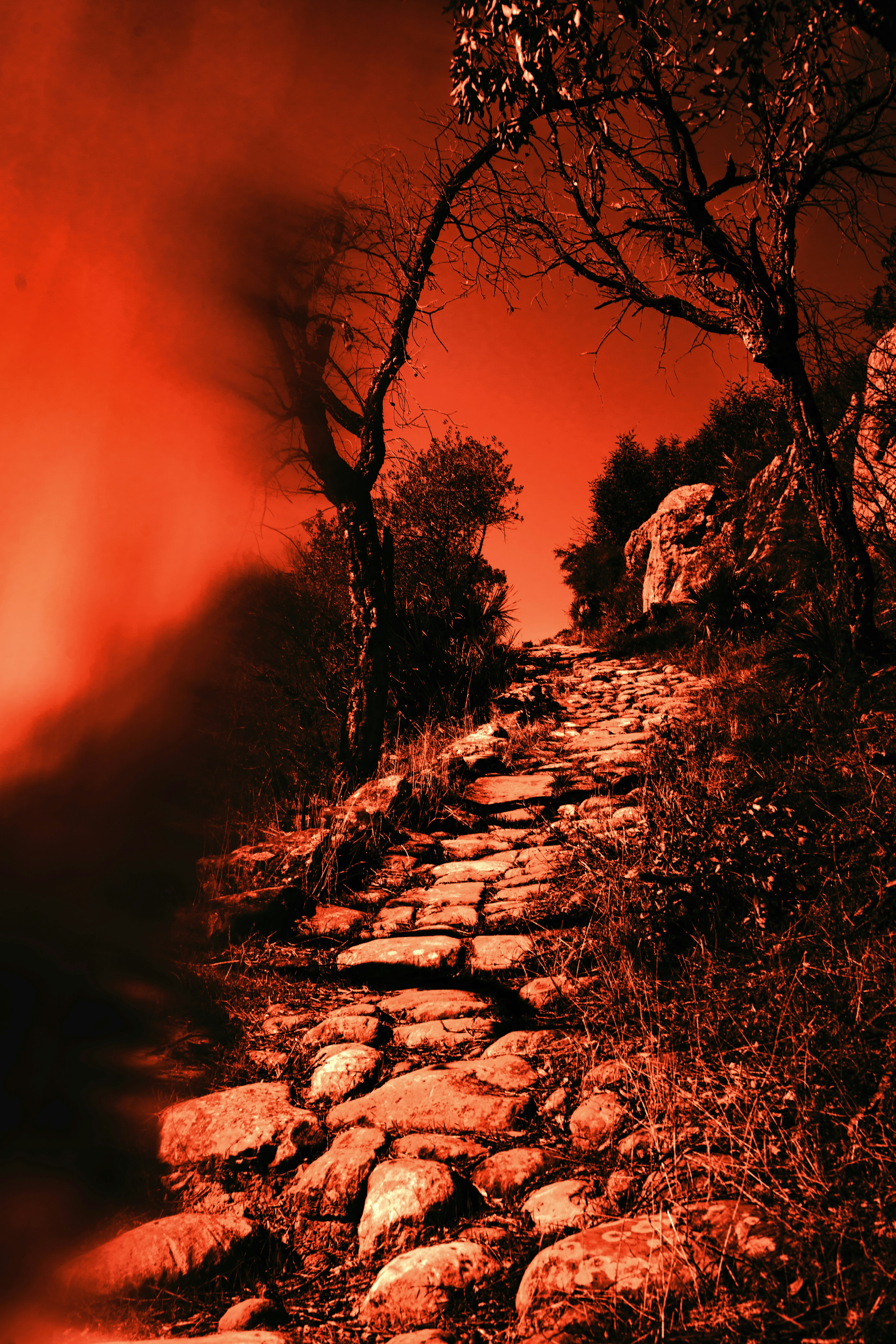 Destruction Of Sodom Gomorrah Genesis 19 1 29 The Church