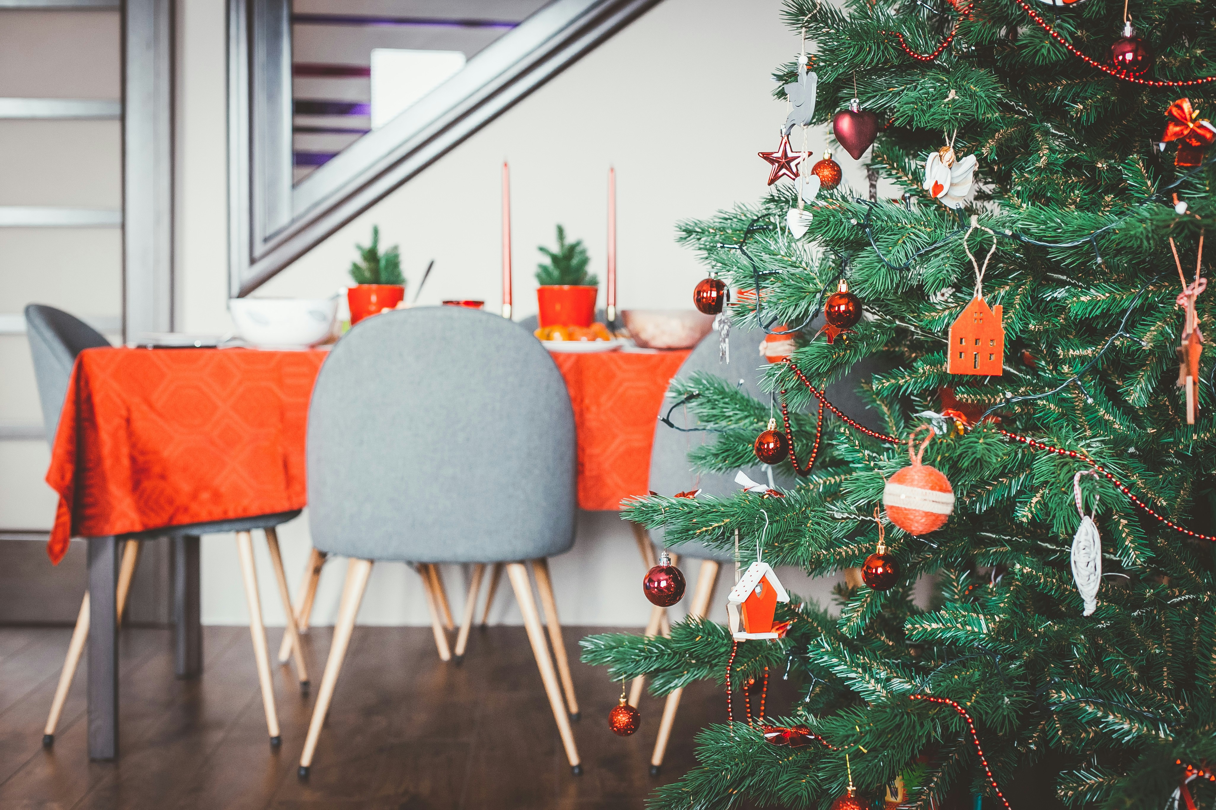 The traditional christmas meal features duck, goose, . All Christmas Traditions In Germany Explained