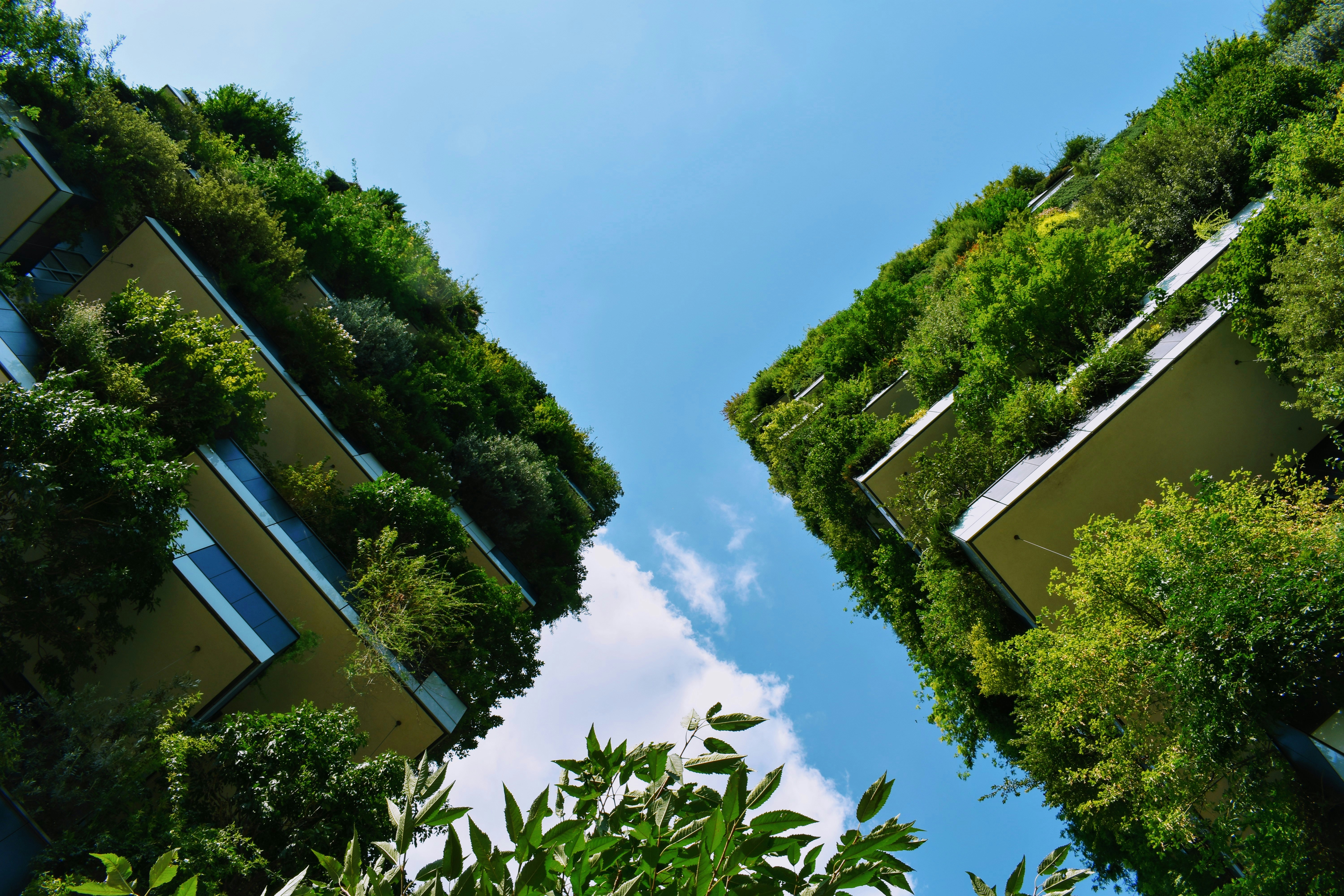 eco friendly construction
