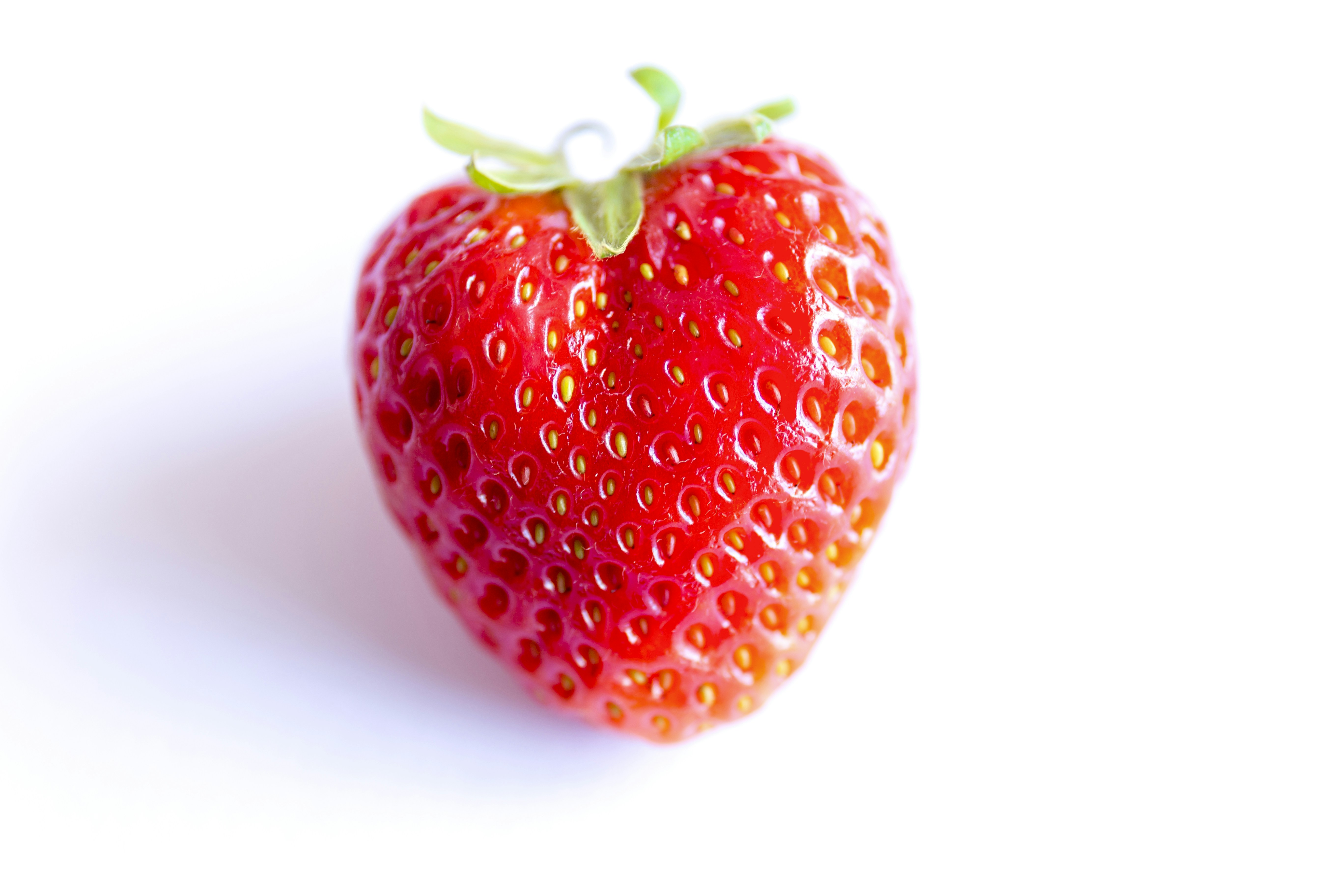 Histamine, Fructose & Co. App helps with Food Intolerances