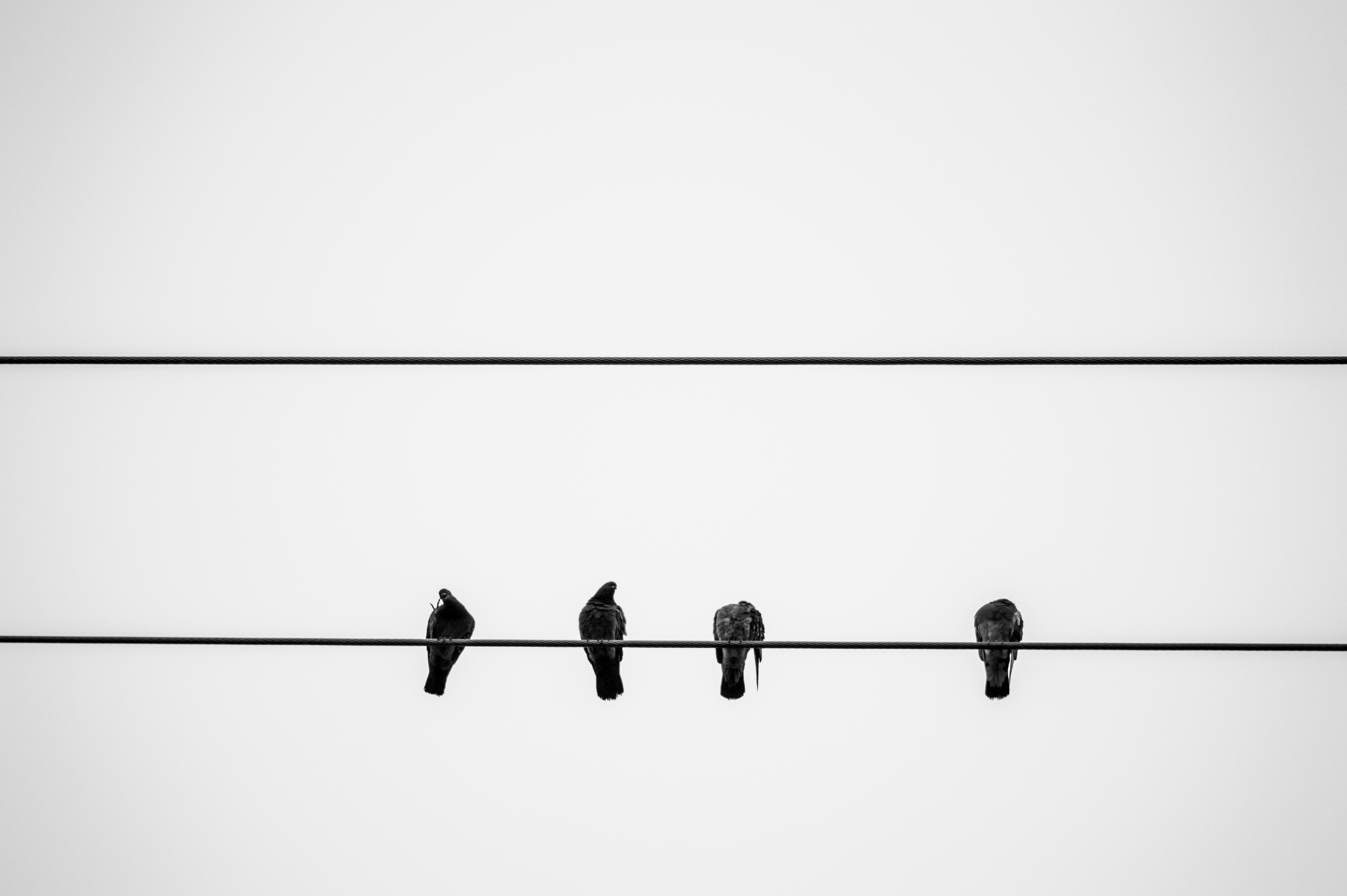 갈등 관리 현명하게 해결하는 방법