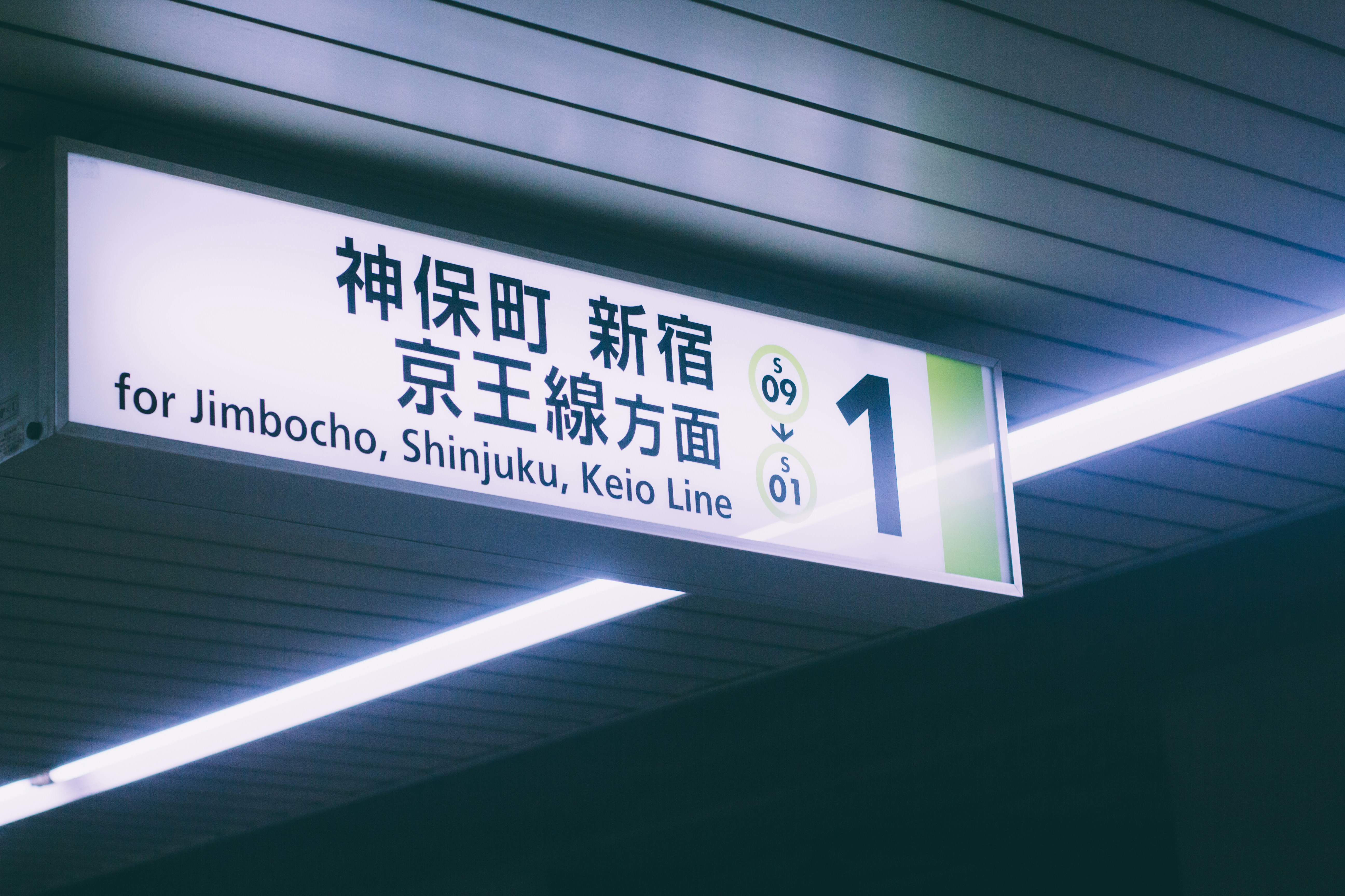 別再傻傻玩！娛樂城老手都在用的優惠攻略